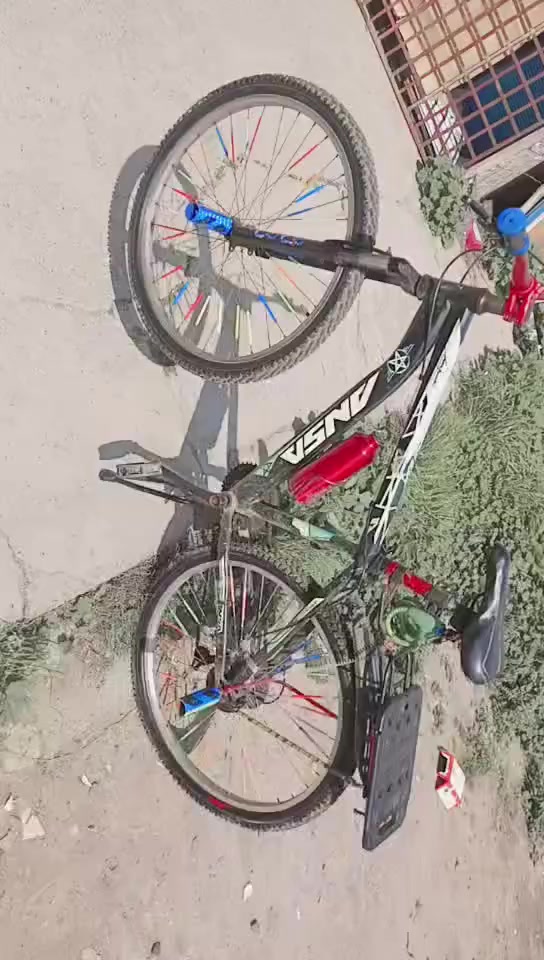 بايسكل جمبازي للبيع 100بي مجال العنوان موصل قرب ماركت الحاج عيس


**إذا كنت صاحب هذا الإعلان وتريد حذفه لأي سبب، رجاءا أرسل رسالة إلى الدعم الفني**