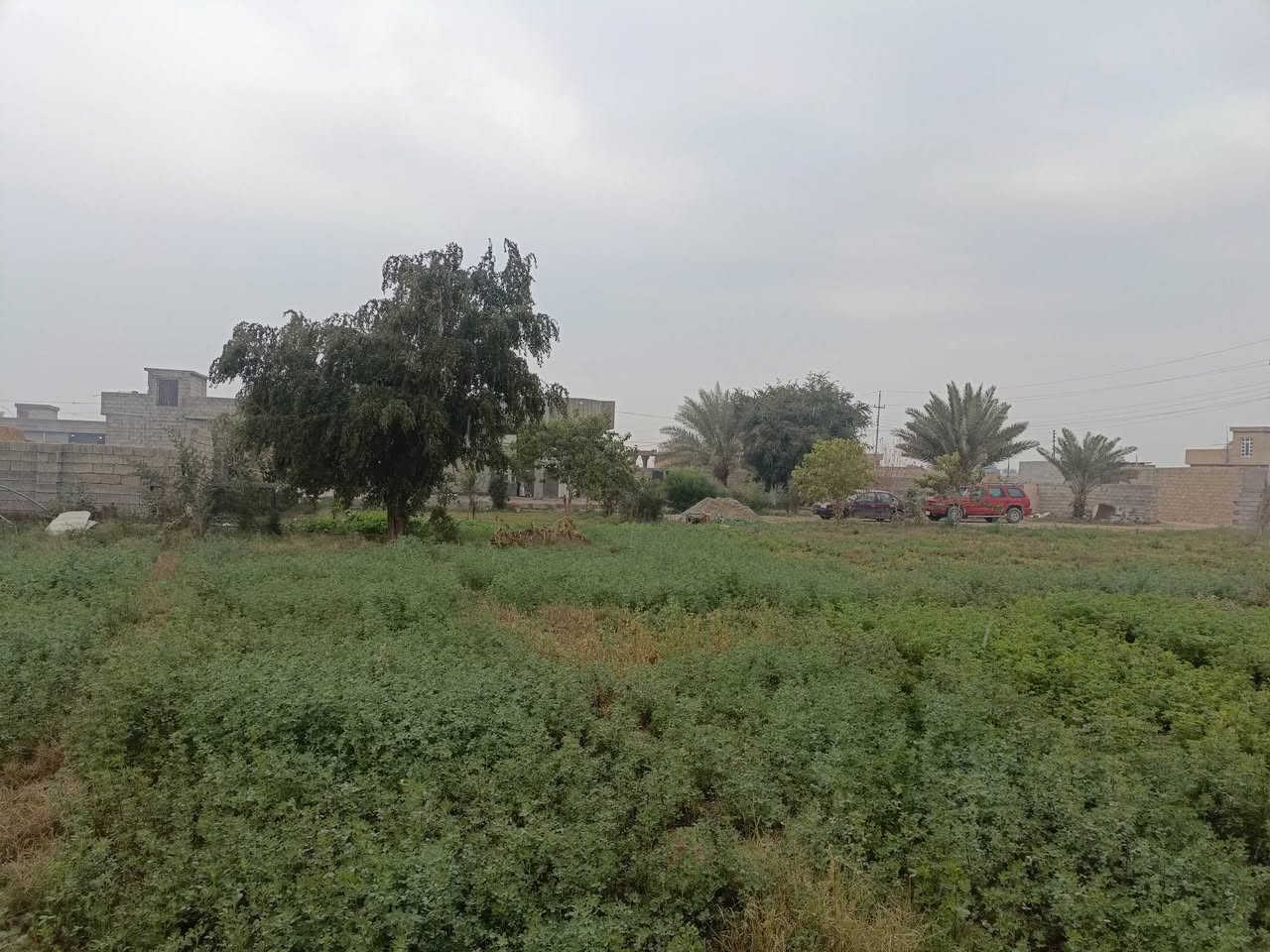 اسلام عليكم  متاح درا للبيع مساحة 2500متر واصلة كامل الخدمات 
حقلين بقر بيها +مخزن+   بير مي قطاس كامل مكمل +مي حلو واصصل  كامل 
مكان الدار قريت الربيضة
رقم الهاتف ‏‪***********‬‏
