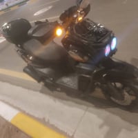 سكنس جبلي • موديل 24 • مكفولة