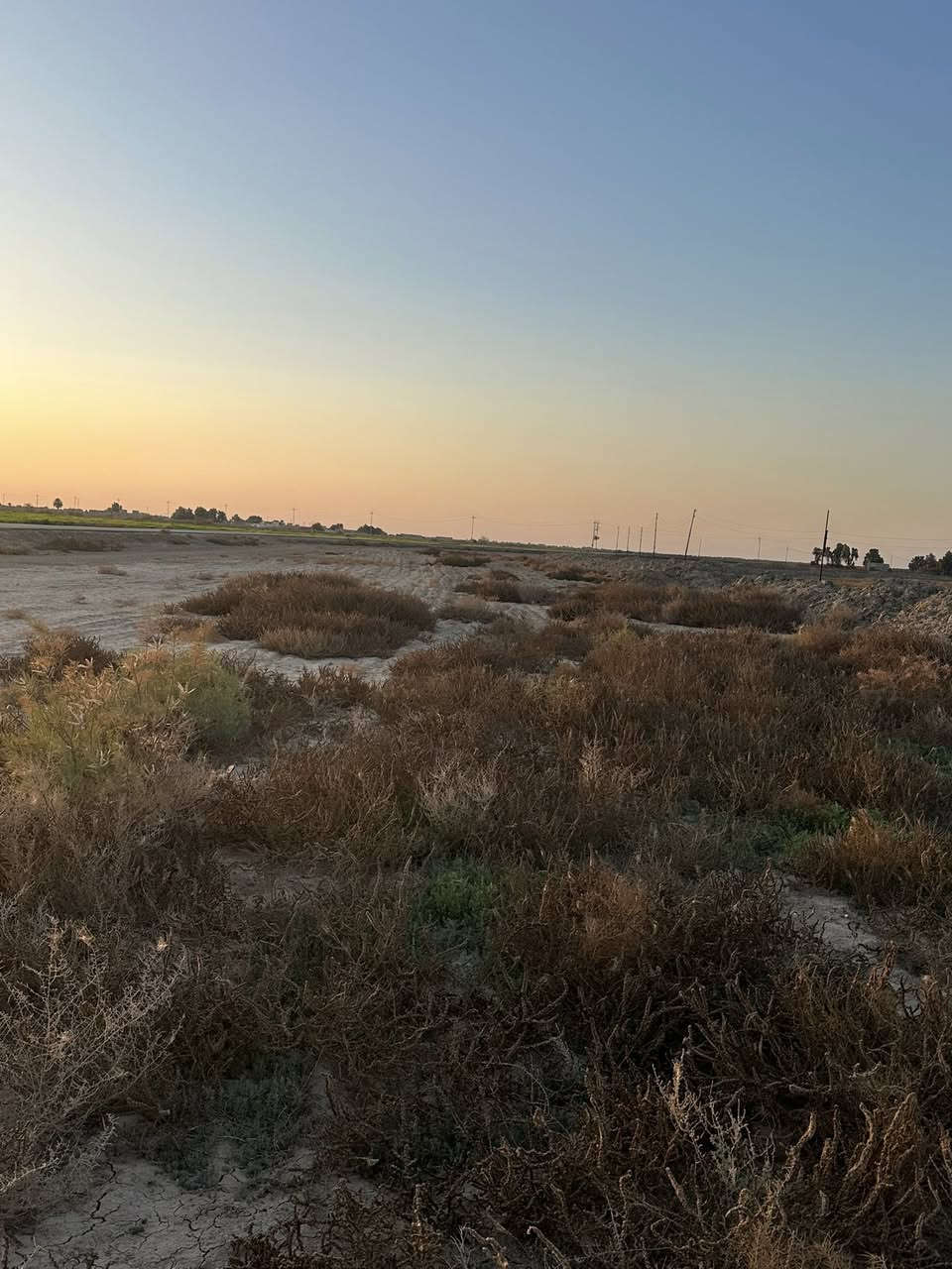 السلام عليكم ارض زراعيه. 
ماي وكهرباء. بنصها. 
محوله. كهرباء. بنصها. كاع كلها حلوه.وزراعيه 
عقد. زراعي. 
مكان. الكاع بين الرفاعي. ونصر. طريق كله. تبليط. قرب ناظم. رقم أربعه. 

مساحه. الأرض ٣٨ دونم. ***********
