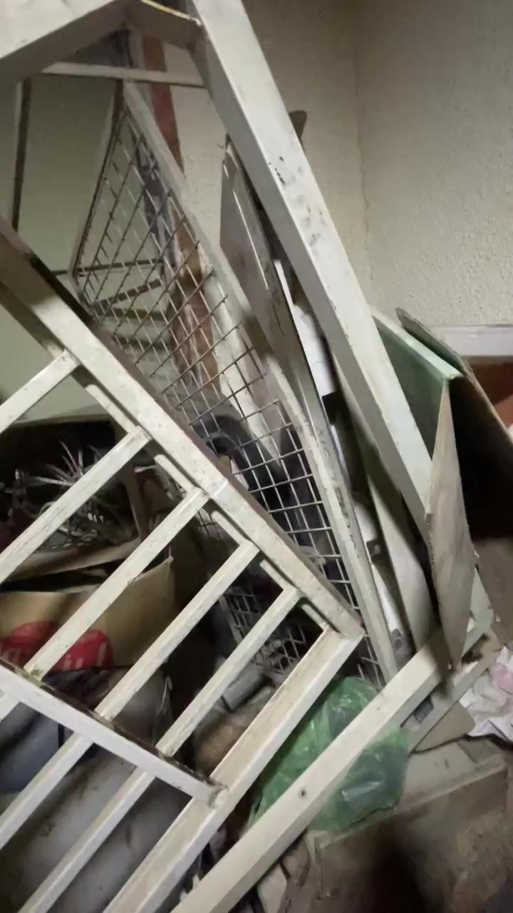 باب وفريم للبيع مكاني البياع


**إذا كنت صاحب هذا الإعلان وتريد حذفه لأي سبب، رجاءا أرسل رسالة إلى الدعم الفني**