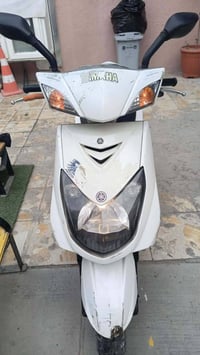 سكنس فحل للبيع مكاني بغداد الحبيبيه رقمي 07766064187