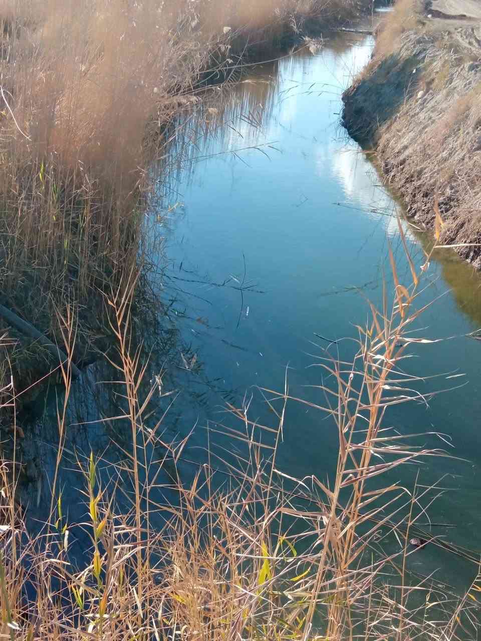 ارض زراعيه للبيع 10دونم بابل كفل بني مسلم رقم ***********
