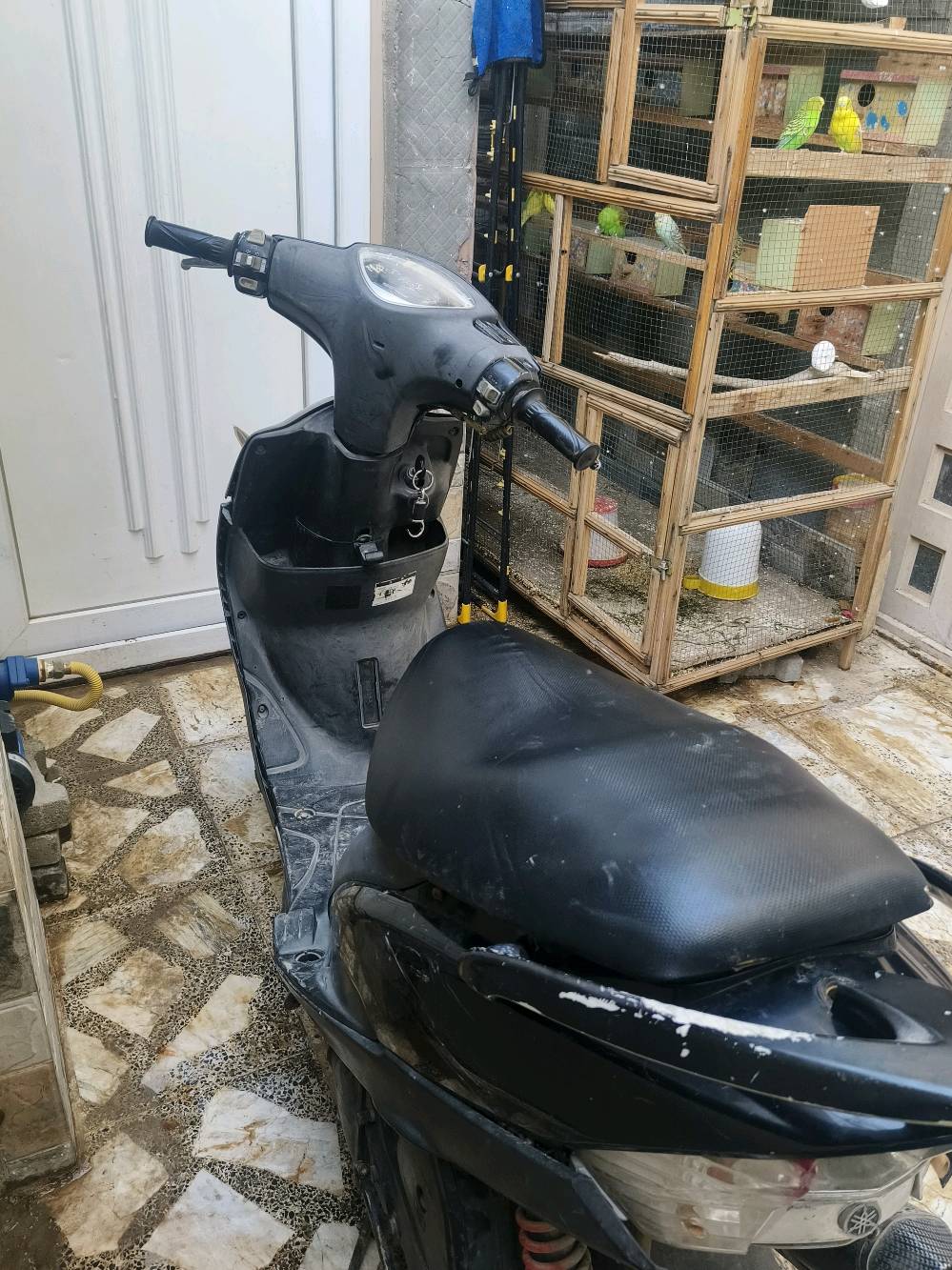 السلام عليكم ماكس عدلة بلاد بوشة 49 نكرة سلف مزودة صالنصة رياضي ويلات دراجة تخبل سعر 550 وبية مجال مكاني نجف حي الغري 