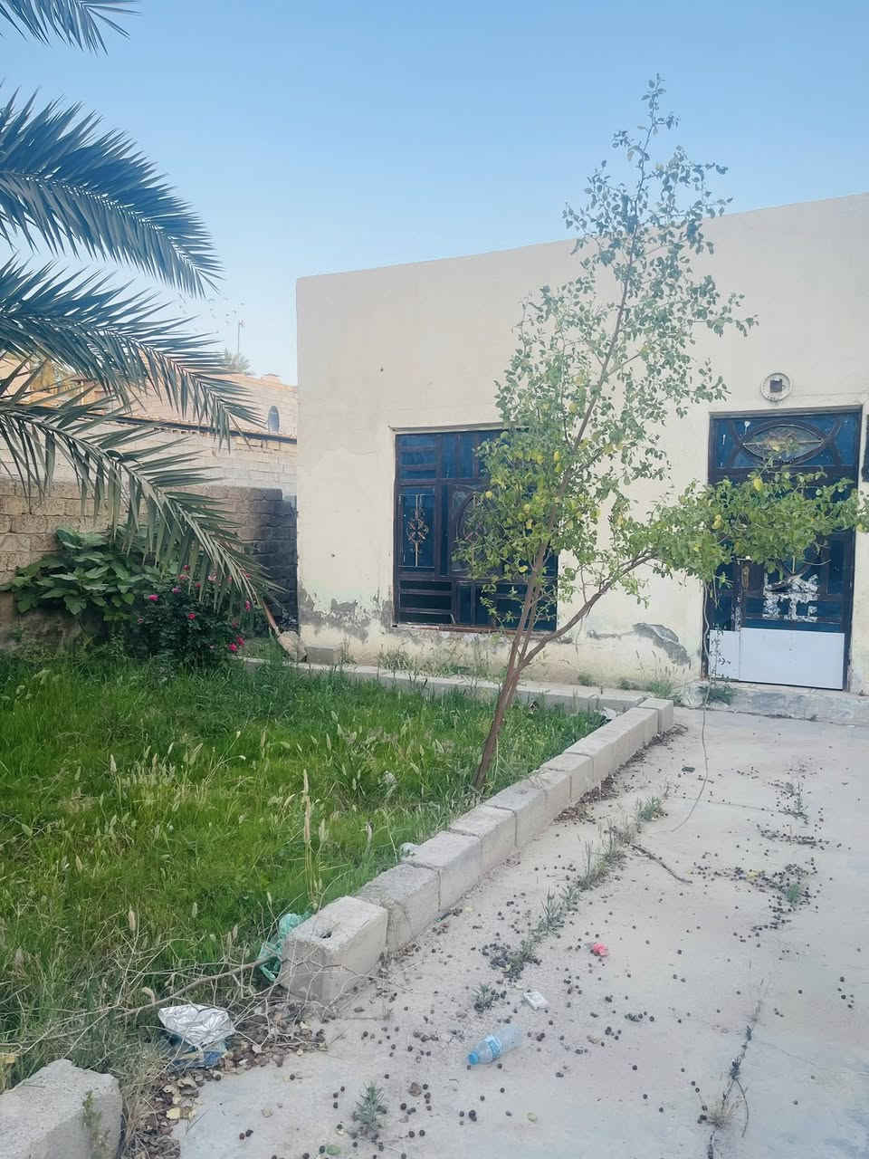 #للبيع
بيت مساحته 300 متر طابو زراعي سند 25
الموقع // ديالى بعقوبة تقاطع الساده عرب ياسين 

تبليط خدمات كامله 
البيت سعر كاع  
فقط يحتاج تنضيف وصبغ بس 

يتكون من كراج  مع حديقه مع صحيات 
استقبال ومطبخ وصاله وصحيات وغرفتين 

السعر $ بسعر الكاع 
للاستفسار الاتصال على الرقم 
او مراسلتنا عبر الواتساب 
***********

للنشر على الصفحه فقط مراسلتنا 🌷
مكتب الصادق للعقار 
#العراق #اخبار #بيع #اكسبلور #عقار #عقارات #شراء #للبيع #بيت #بعقوبة #تقاطع_الساده #باب_الدرب
