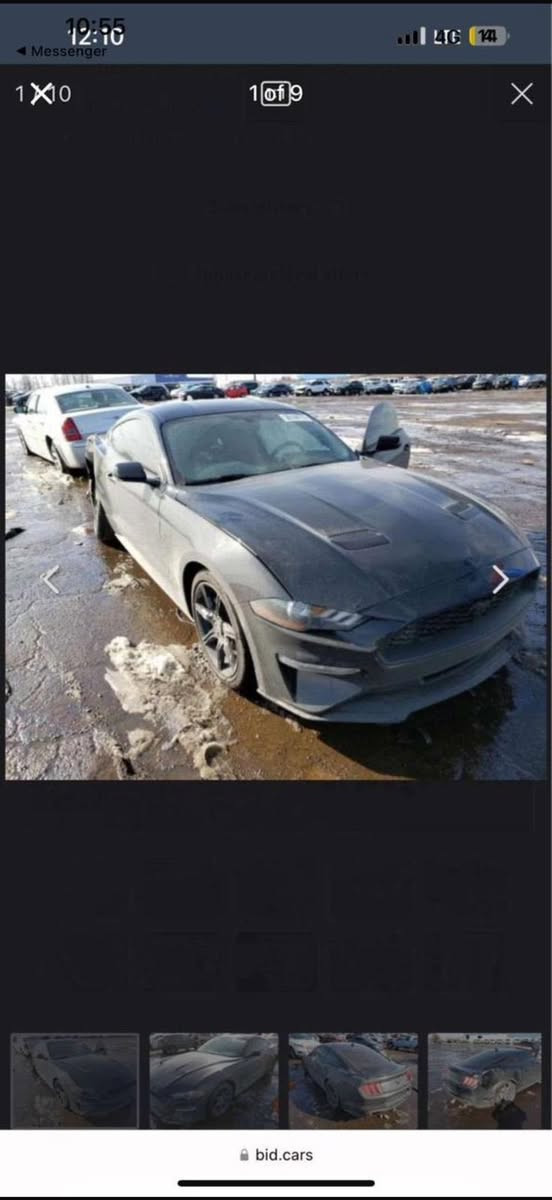 موستنك 2020 500Hp
سلام عليكم شباب موستنك ايكو بوست ماشية 57mi حادثها موجود بل صور وبيها تبديل جاملغ وبنيد نفس الون ممصبوغات بدون حادث!
السياره عليها 

عليها شوته كوستم
عطاسات
توربو ابكريد من شركه مامبا 
انتركولر ضخم
ميثانول 
داون بابيب 
دبات فورتك
وعليها  وياله ويلد
وجناح شيلبي
 برمجه ثلاث وضعيات
الوضعية الاولى اسرع مود بالسباره توصل 500hp
الثاني طلقات
الثالث اقتصادي
حادثها جاملغ  خلفي من امريكا
وبالعراق اقل الشبر بالبنيد (بدون حادث)
هزة جديده الرقم الجديد مناقصها شي السياره 
الراديتر الاصلي موجود وحجر البيئة هم موجود 
عارضها 170 وبيها مجال  
رقمي ***********
