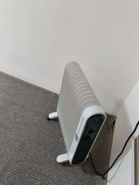 صوبة زيتية • أخو جديد