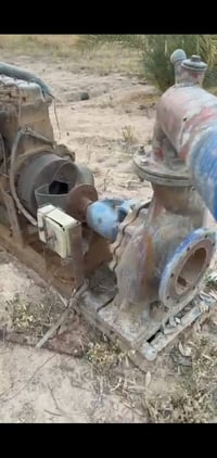 نحاله عنتر • خنزيره • ٦×٦
