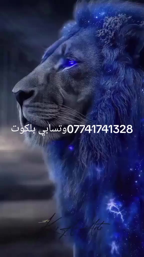 بلكوت فقط ***********وتساب
