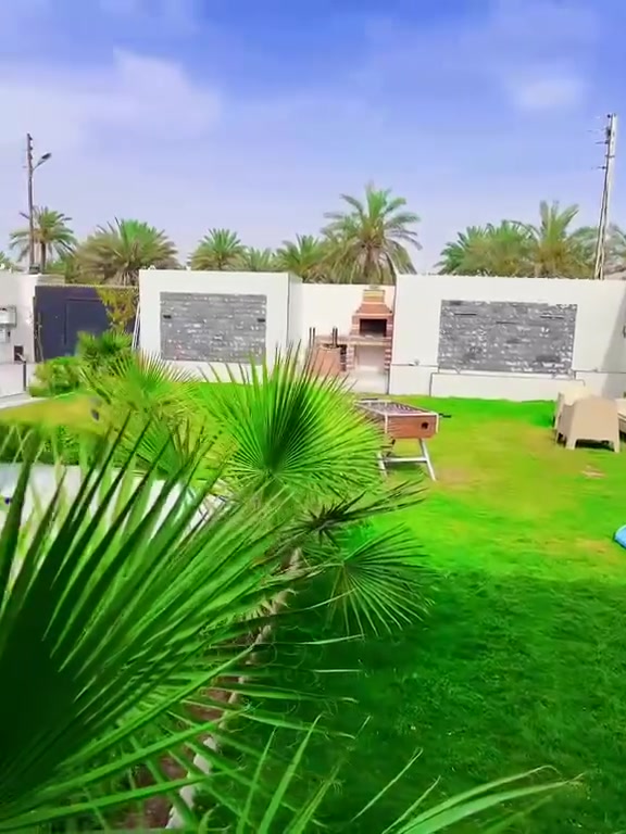 متوفر اليوم مسائي بعيثه ***********
