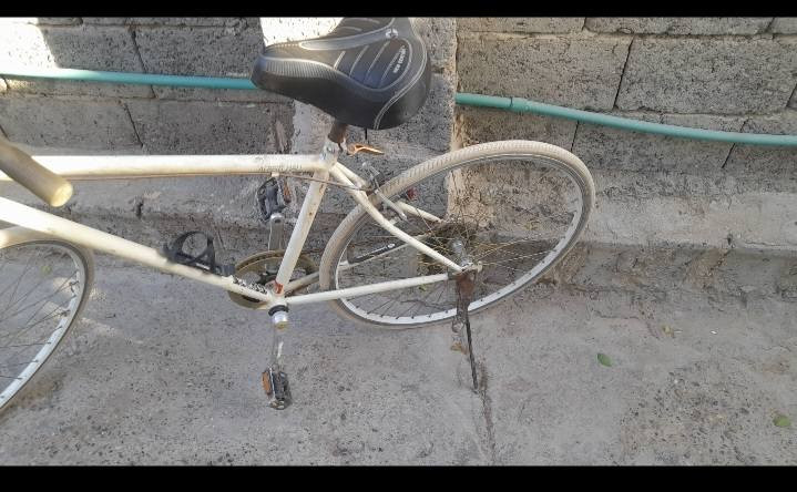 بايسكل c700للبيع السعر ٦٠الف المكان بغداد رئاسة لامين


**إذا كنت صاحب هذا الإعلان وتريد حذفه لأي سبب، رجاءا أرسل رسالة إلى الدعم الفني**