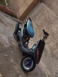 ماكس عدله • شغالة • الامين الثانيه