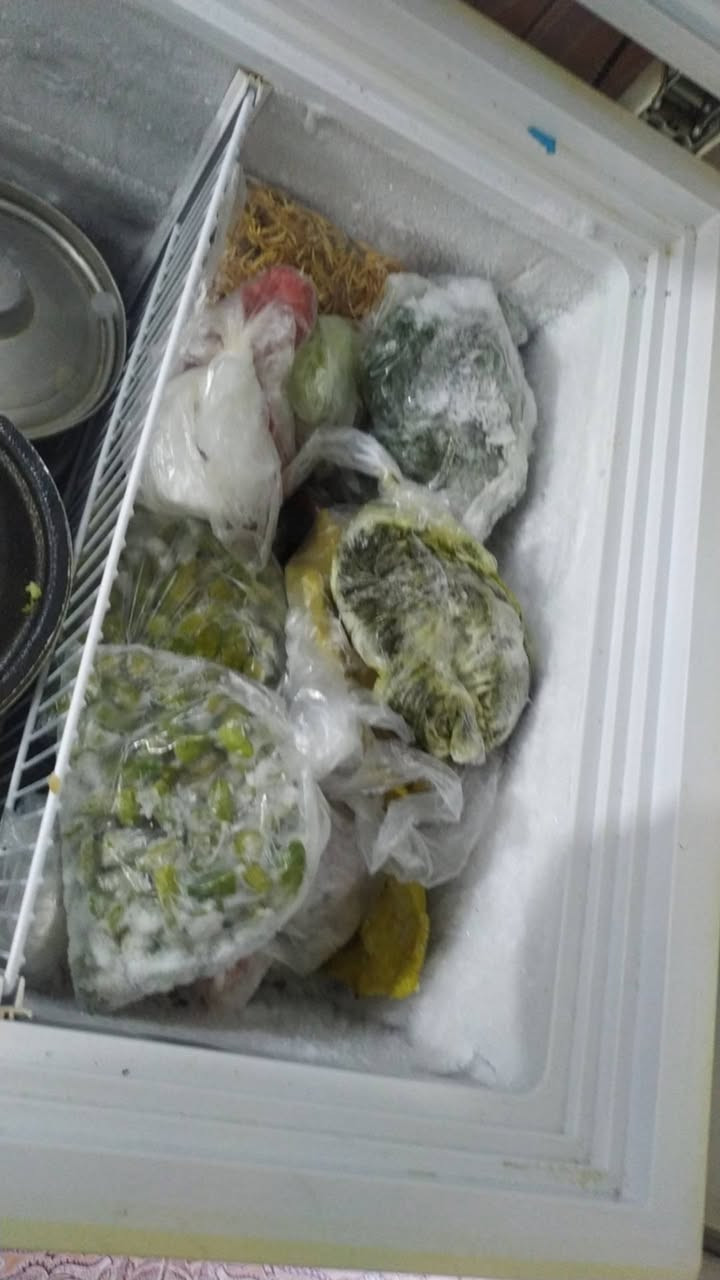 مجمدة للبيع كلش زينة وتجميدها فول اريدها 250 للاتصال***********
