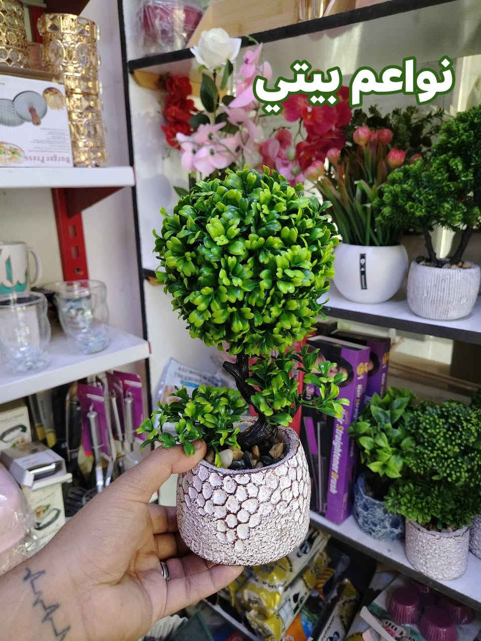 سنادين نبات اصطناعي خضار بموديلات مختلفه وحلوه وديكور راقي
توت توت تعالي النواعم بيتي كلشي موجود😜🤪😋
🧿﷽ 🧿
#نواعم بيتي المواد المنزليه
بضاعة جديدة ومنوعة موديلات واشكال مختلفة راقية وأنيقة ومفيدة جدا تجدونها في نواعم بيتي  
العنوان / العزيزية شارع سيد عزي مجاور علي العتبي للذهب عمارة احمد صبر
يتوفر لدينا خدمة توصيل داخل العزيزية مجاناً 
توصيل لكافة محافظات العراق

👌للحجز ارسال صورة المنتج ورقم الهاتف 
الحجز مراسلة الصفحة أو الاتصال على الرقم ***********\*********** 
🏠الدوام من الساعة التاسعة صباحاً  لغاية الساعة التاسعة ليلآ
اسعارنا تنافسية ومخفظة جداً ....ويدللون 😁😃
