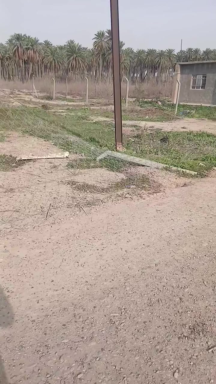 قطعه البيع منطقه البوعيثه يم جامع التوبه مساحه ٥٨٠متر سند ٢٥ واصل مي كهرباء استفسار *********** ***********
