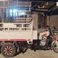 ستوته • بلرمادي • أوراق كاملة