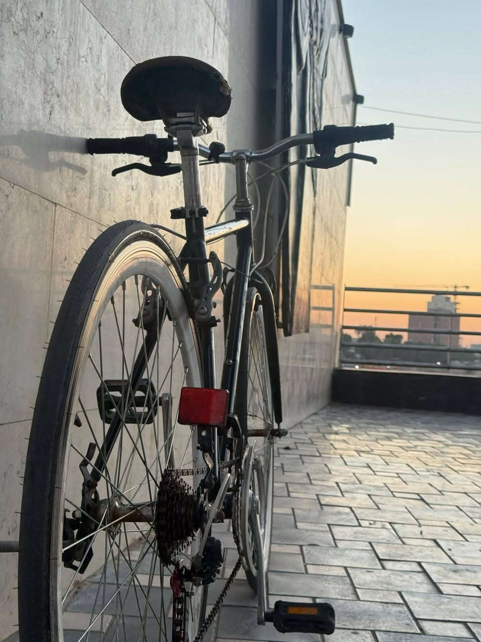 بايك c700من ماركه aeltn المعروفه
البايك كسر حاويه 
حجم البايك ٢٨ ارتفاع الفريم 510 
البايك جاهز منكلشي 
خفيف الوزن 
وياله المنيوم طبقتين 
 كير 3.7 SHMANO
بريكات بلمكان 
وياله موس
مكان بغداد الاعضميه 
سعره    120 وبي مجال 
للستفسار اتفضل خاص او ***********
