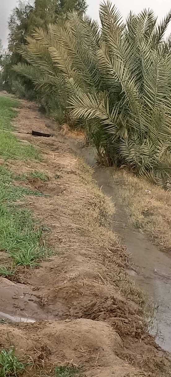 سلام عليكم كاع للبيع 15دونم  عله طريق كربلاء نجف  دونم 8 ***********
