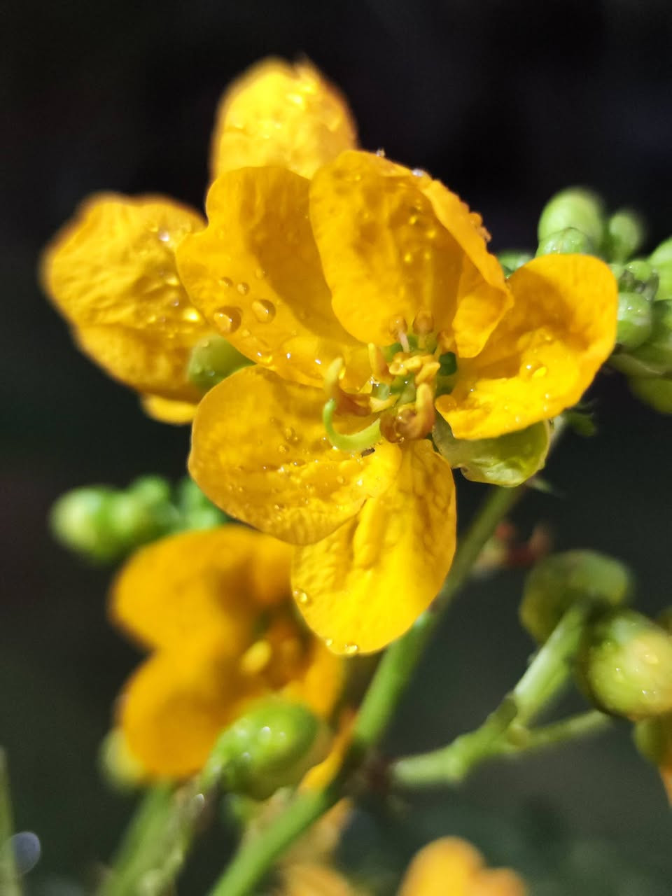 Xiaomi 12T Pro
من نوع فلاكشب
ذاكرته 256/8
كامرته 200 بكسل
مراوس أو بيع سعر 
275وبي مجال قليل
رقم ***********
مكاني بغداد قرب مرورتاجيات
