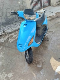 فراشه فحل • نضيفة • نجف