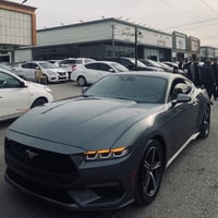 موستنك • ٢٠٢٤ • ماشية ٦ مايل