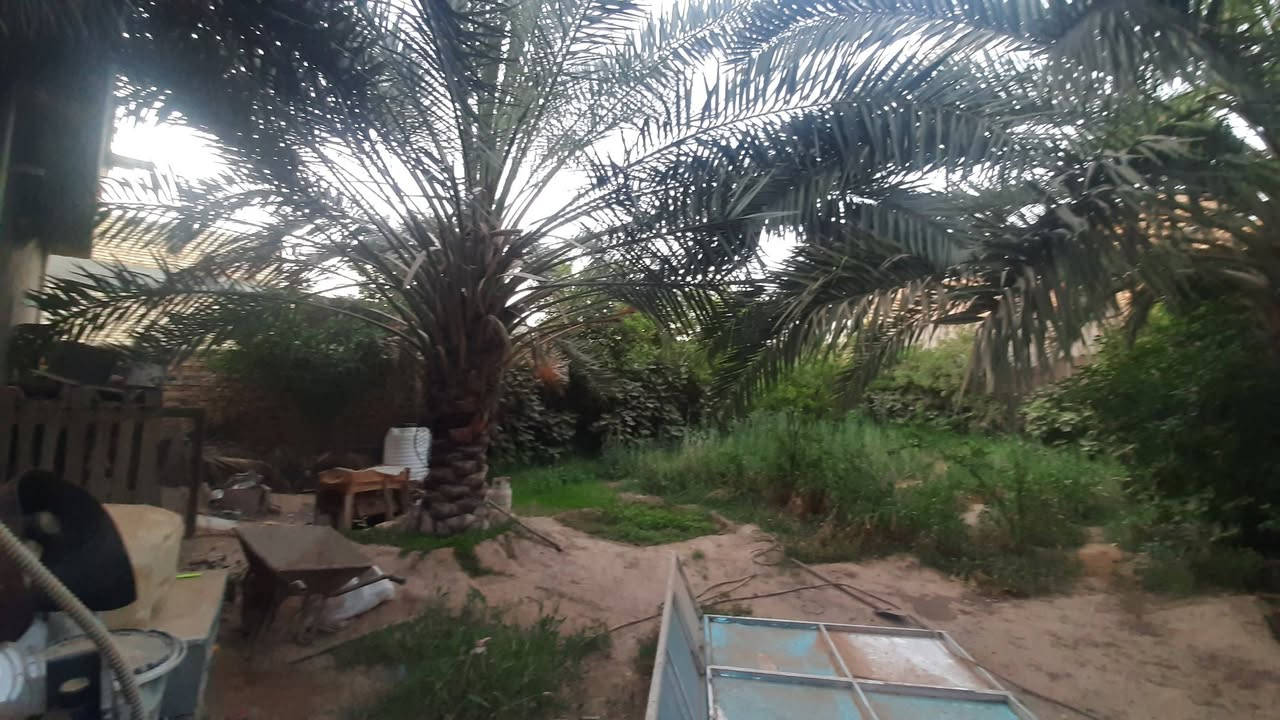 بيت مساحه 600 متر واقع حال 700 م سند25 تحويل حله بداية دولاب يبعد 200 متر عن شارع العام تبليط للباب عرض شارع 12 متر بيع مستعجل ب135 وبي مجال ***********
