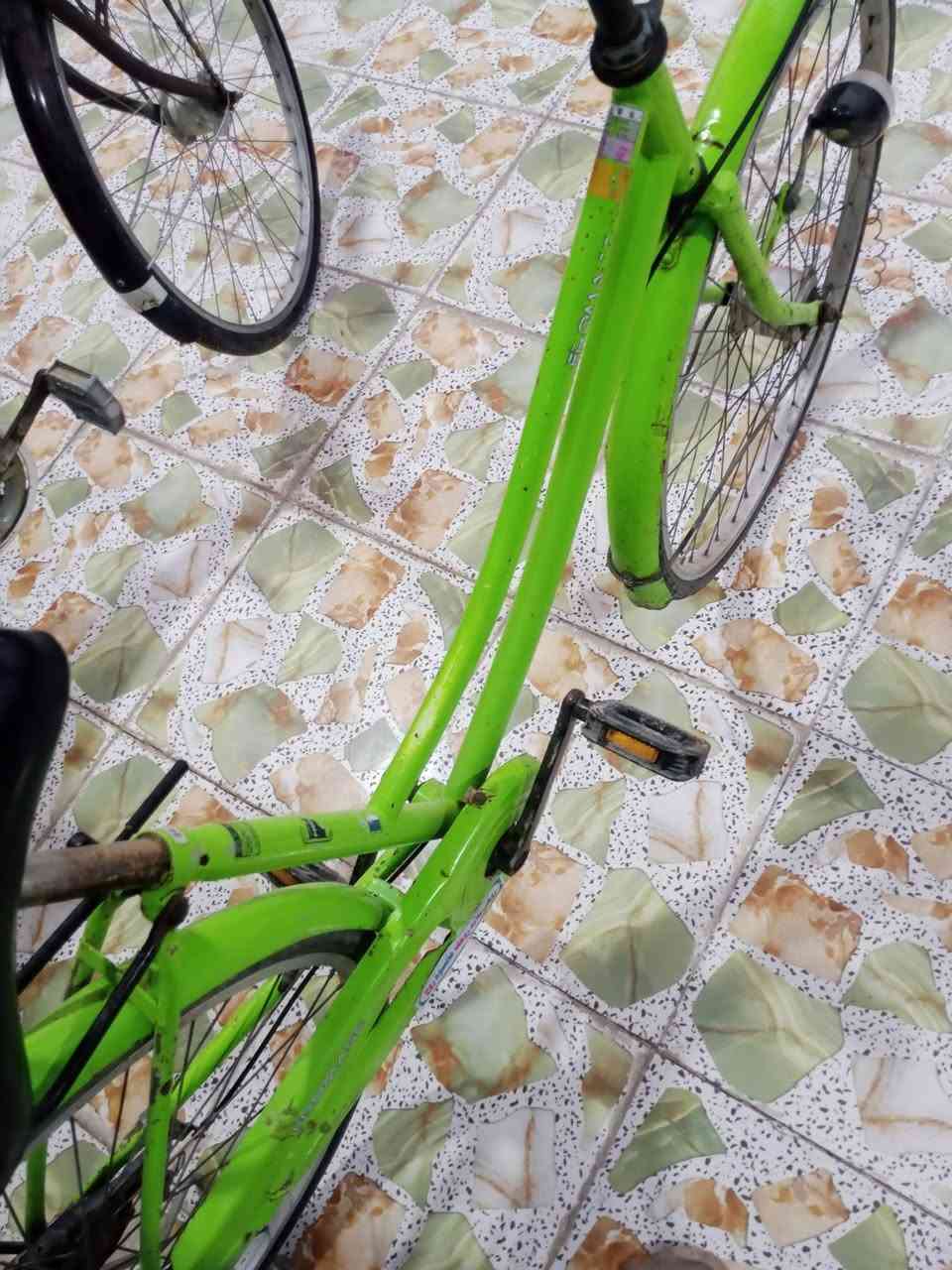 سلام عليكم بيسكل للبيع ياباني حجم 26 لون مميز تفاحي 
بيسكل نضيف جدآ حساس شغال تايرات  وجوابة جدد سعر 80 وبي مجال مكان حلة قبل صيطرة الاثار مقابل كوين بارك ***********
