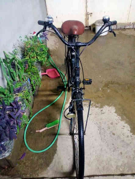 باسكل يباني اصلي السعر 100/بي مجال /***********
