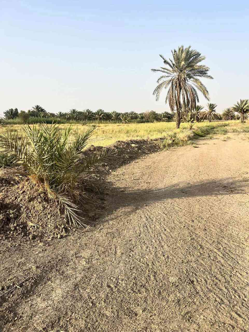 قطعه ارض ل بيع المساحه 500م خلف جامعه بابل منطقه حي السجاد القطعه ب اسمي تحويل مباشر ***********
