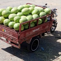 ستوته للبيع موديل2015 مكفوله من كلشي محرك 2026 اوراق 07802581844