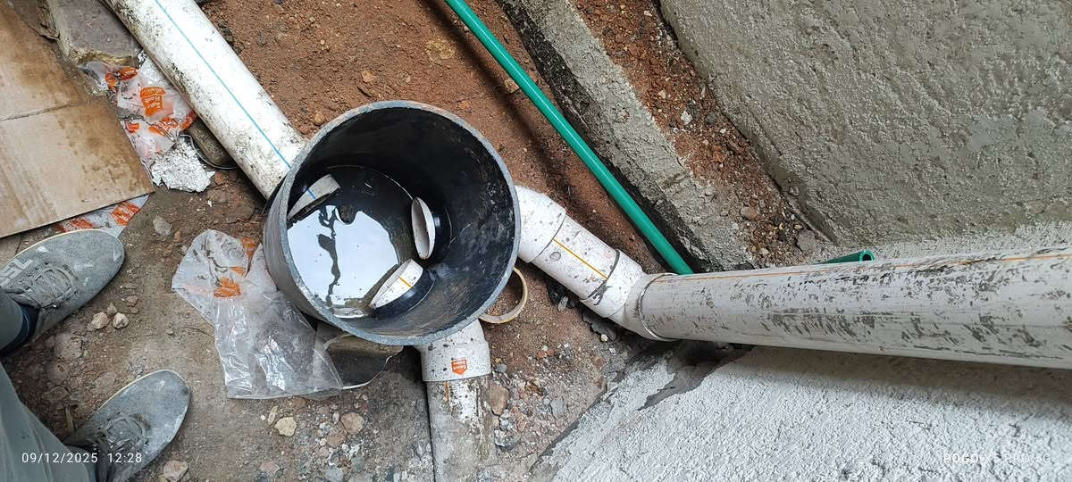 ديوانية فقط .
***********
