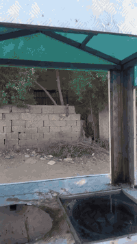 عريانة  لبيع ***********
