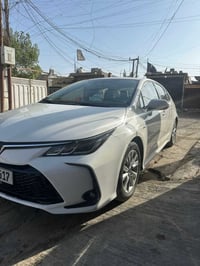 كورلا البيع السعر 143 وبيهه مجال مديل 24ماشيه 22مكان بغداد الكرخ قرب ت...