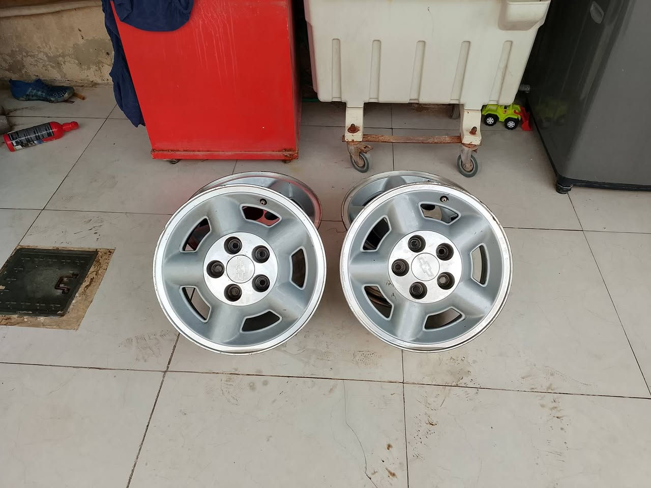 تخم ويل نظيف للبيع هذا رقمي***********
