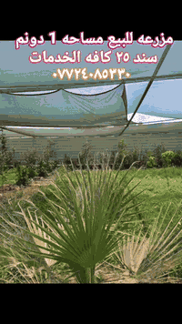 ٢٥٠٠م • واجهة٣٠م • طابو زراعي