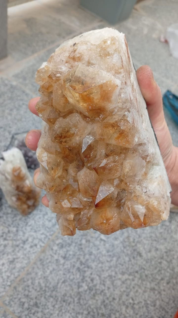 شلع


**إذا كنت صاحب هذا الإعلان وتريد حذفه لأي سبب، رجاءا أرسل رسالة إلى الدعم الفني**