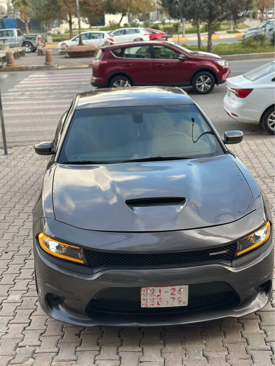 دودج جارجر  RT مودیل 2023 
حجم محرك 5.7 
ماشية 40 الف مايل 
الكير و محرك و كهربائي كلهم بشرط 
ضرر سيارة مو صبغ عام بس أبيعه عام 
ايرباك دشبول و ستيرن بشرط 
سيارة رفض مرور  

دۆج چاڕجەر مۆدیل 2023 R/T 
جۆری مەکینەکەی 5.7 ئاڕتی 
40 هەزار مایڵ ڕۆیشتیە 
گێڕ و مەکینە و کارەبایاتی هەمووی بەشەرت 
سەیارەکە سبوغ عام نییە بەس بە عام دەیفرۆشم 
پێشی کەپسە ئێڕباگی سوکان  و دەشبولی بەشەرتە 
سەیارەکە ڕەفزی مڕوڕیە لە لیژنەیە 

رقم *********** أربيل, العراق
