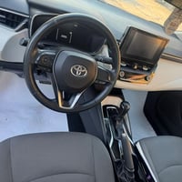 كورلا • ٢٠٢٣ • بغداد