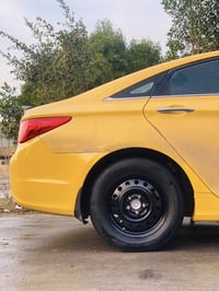 تخم وياله 16 سوناتا للبيع او مراوس  بحجم 15 خط ابيض مكاني بغداد