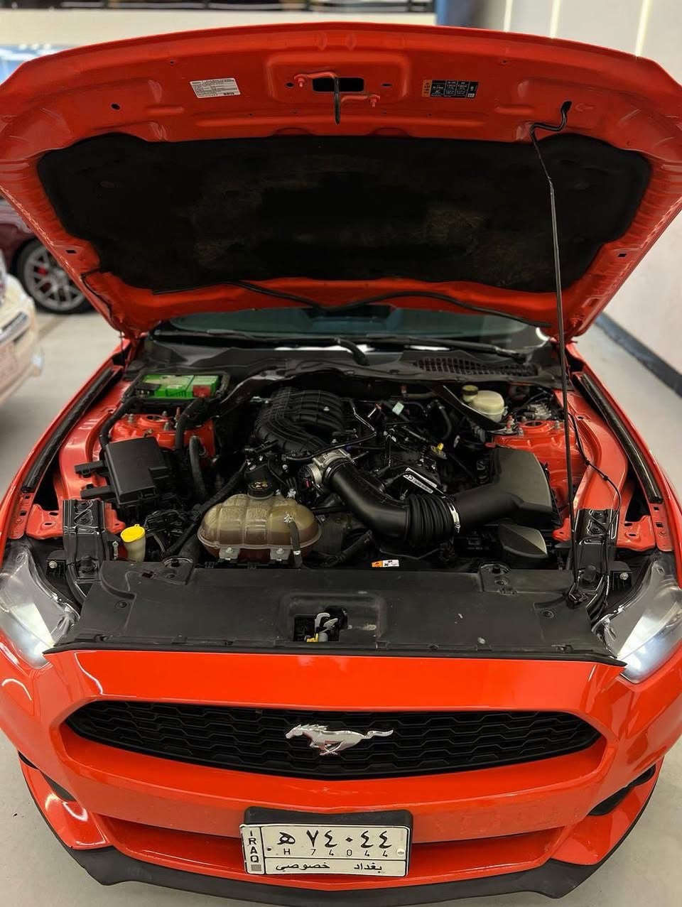 2016
للبيع
6 سلندر 
البجم كبس 
مكاني بغداد 
***********
