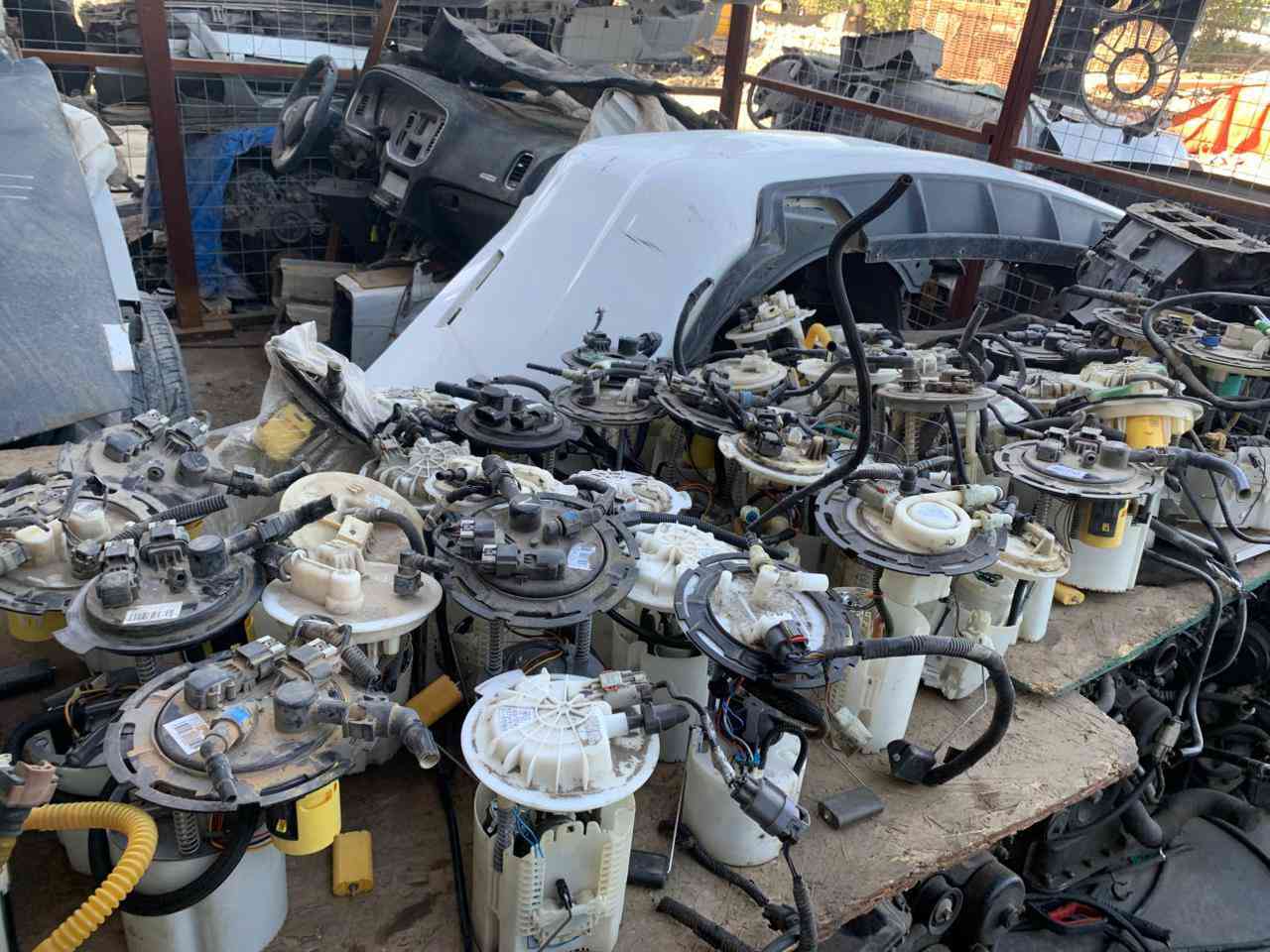 السلام عليكم عنوان السماوه رميته الشارع العام ***********
