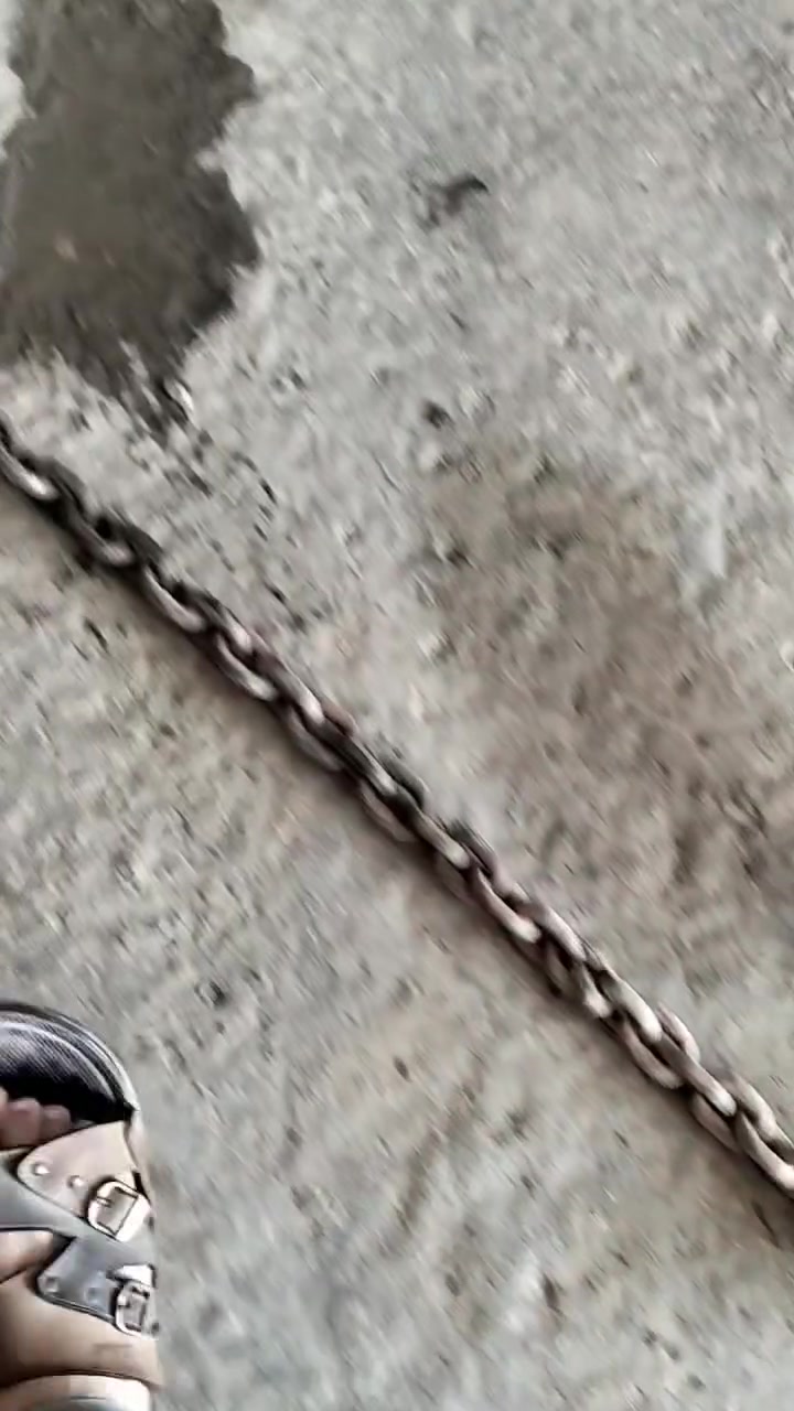 هذا الزنجيل للبيع اصلي بالاستعلام ***********
