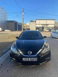 التيما • ٢٠١٦ • شقلاوة