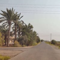كاع 28 دونم 891 واك وجه 167متر نزال 174متر تحتوي على 4 بيوت واجه على ن...