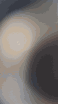 ماكس • عدلة • سلف وهندل