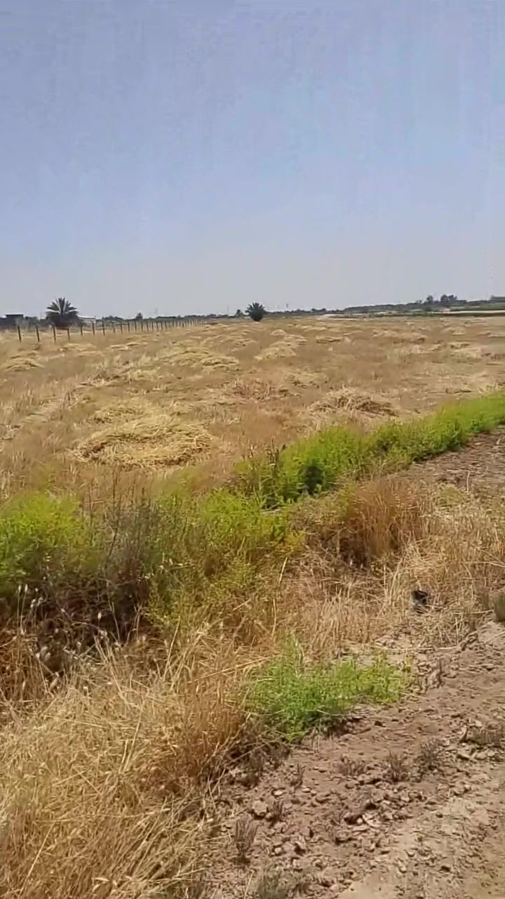 الاستفسار أكثر تصل على رقم ***********
