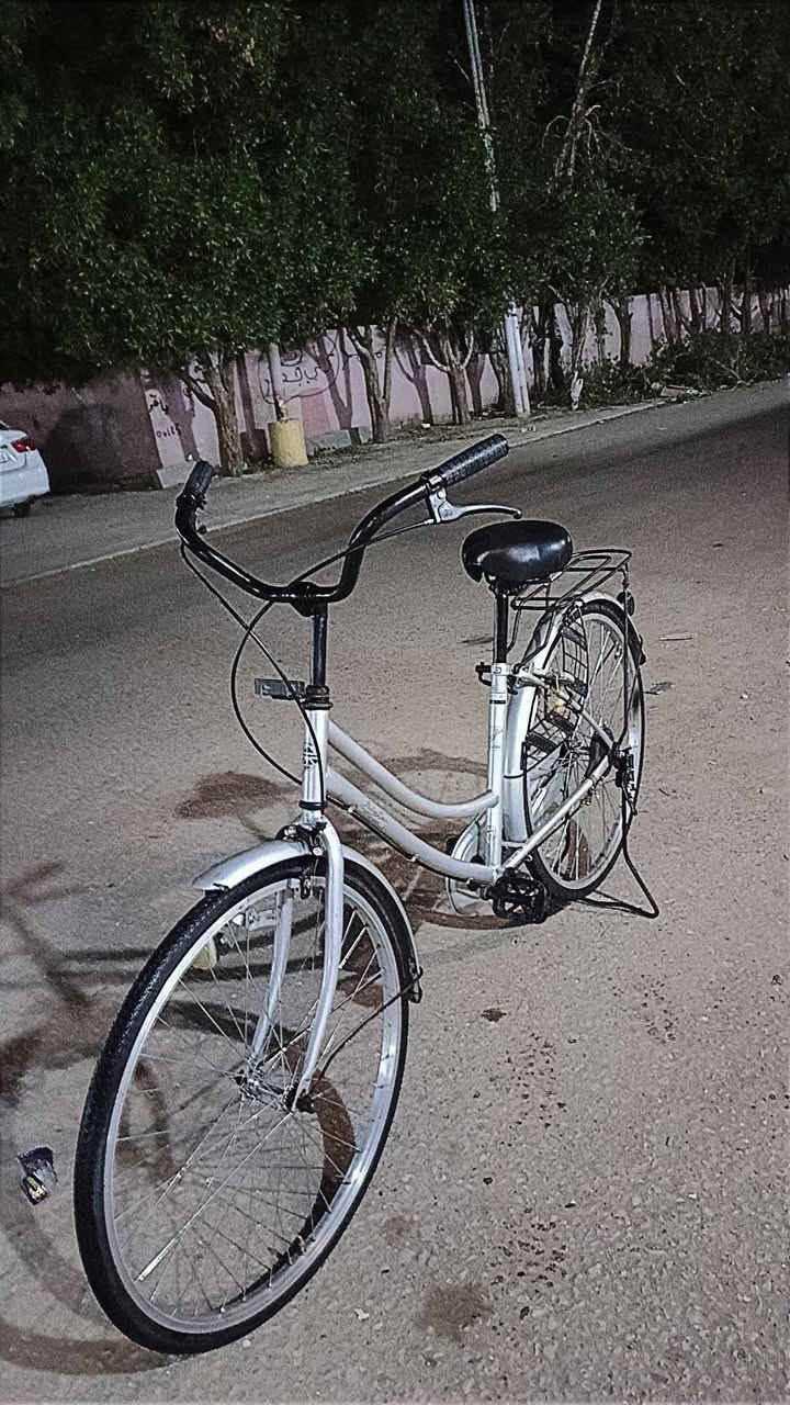 بايسكل بطه نظيف السعر 130


**إذا كنت صاحب هذا الإعلان وتريد حذفه لأي سبب، رجاءا أرسل رسالة إلى الدعم الفني**