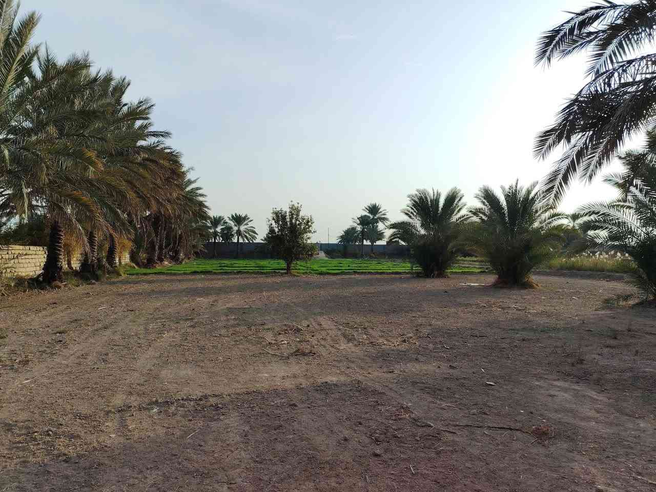 ارض شاطي 2 دونم للبيع على طريق يا حسين في الكفل الشهابية السعر خاص ***********
