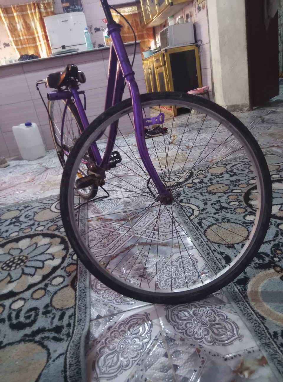 بايسكل للبيع حجم 28 السعر 75


**إذا كنت صاحب هذا الإعلان وتريد حذفه لأي سبب، رجاءا أرسل رسالة إلى الدعم الفني**