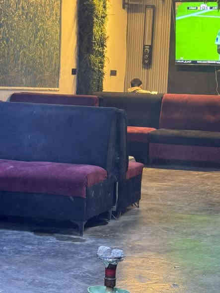 ٢٠ قنفه او تخم للبيع مال كهوه سعر القطعه ٣٠ الف بغداد الشعب ***********
